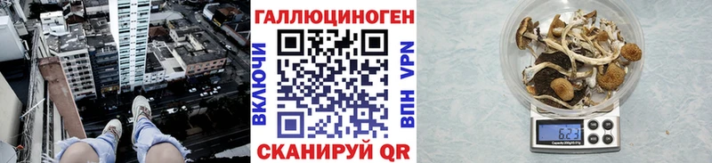 Галлюциногенные грибы мухоморы  Торжок 